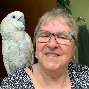 Meet your Posher, June